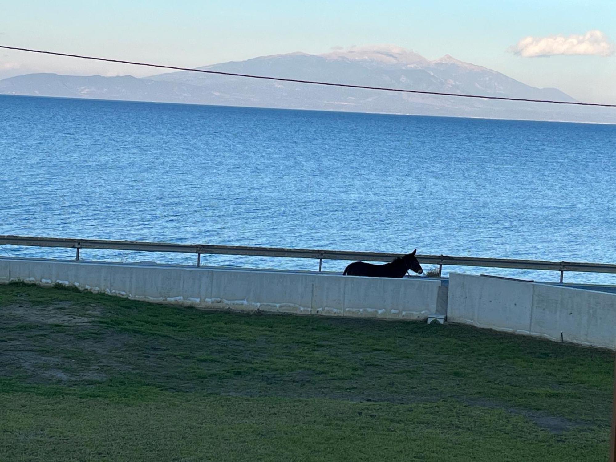 Balance Accommodation Stavros  Dış mekan fotoğraf